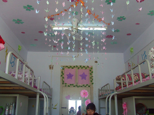  91短视频
开展“绿色家园”寝室评比活动