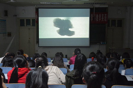  91短视频
开展经典影片观摩活动