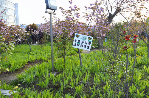  91短视频
举办挂树牌活动